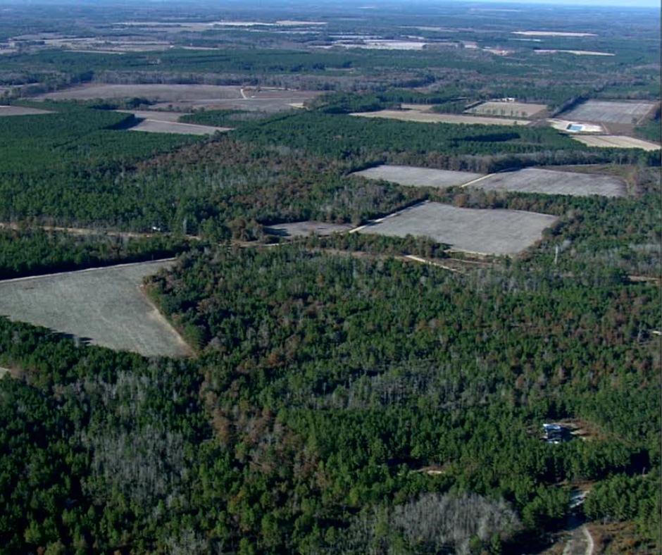 Budget Auto Car Insurance in Statesboro GA