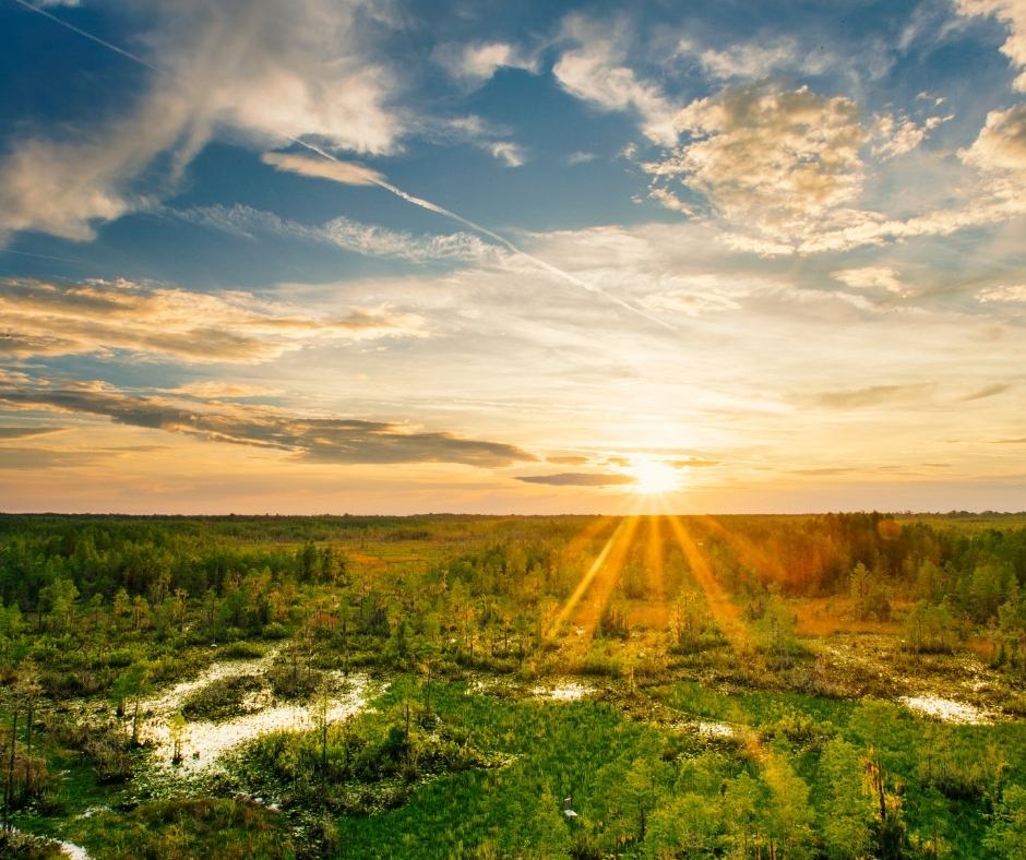 Budget Auto Car Insurance in Valdosta GA