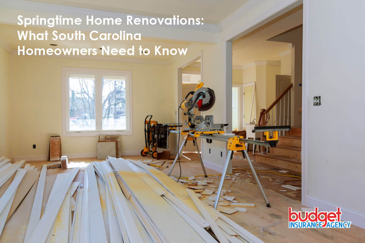 Springtime Home Renovations: What South Carolina Homeowners Need to Know