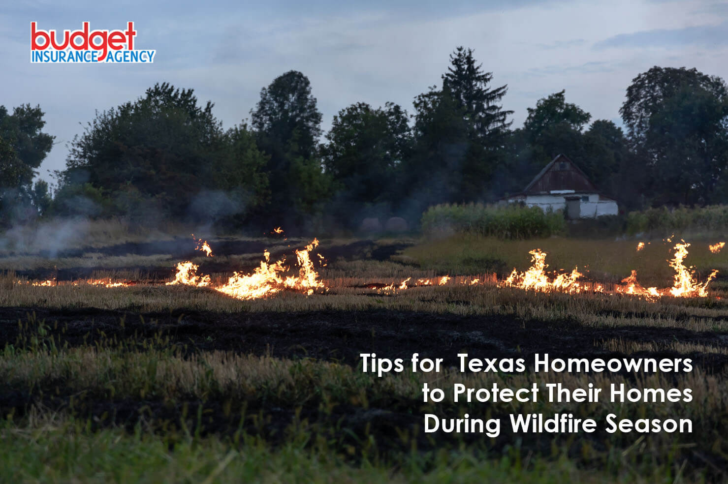 Tips for Texas Homeowners to Protect Their Homes During Wildfire Season