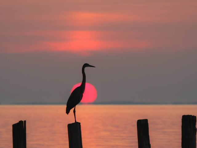 Budget Auto Car Insurance in Chesapeake VA